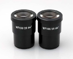 Mắt kính hiển vi soi nôi WF10X/20